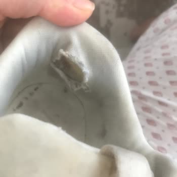 Zara'nın Fiş Talebinde Bulunmama Rağmen Bir Aydır Geri Dönüş Olmadı