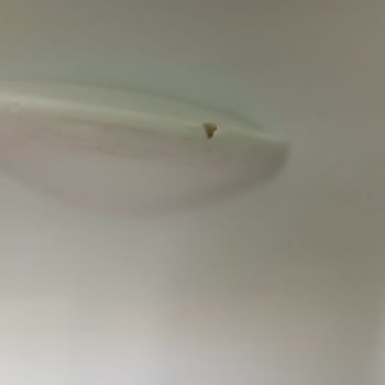 Siemens Ev Aletleri Buzdolabı Problemim Çözülsün Artık