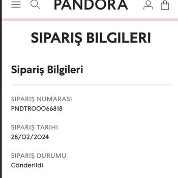 Pandora Mücevher Pandora Kargo Sıkıntısı