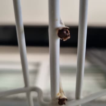 Miele Bulaşık Makinesi Sepetleri Paslandı...