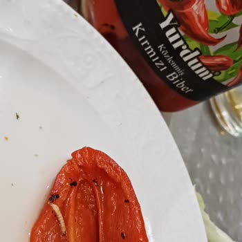Yurdum Konserve Yudum Marka Közlenmiş Biberde Solucan