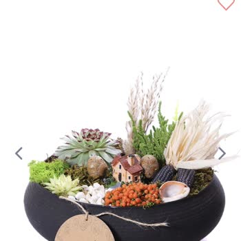 Taze Çiçek (tazecicek.com) Görselle Uyuşmayan Çiçekler