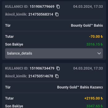 Padişahbet Bakiyemi Sildi Sakin Yatırım Yapmayın