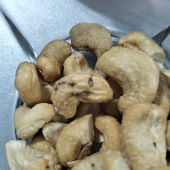 Amigo Kaju Şikayetim Var