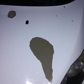 Ford Fiesta Boya Kavlama Sorunu