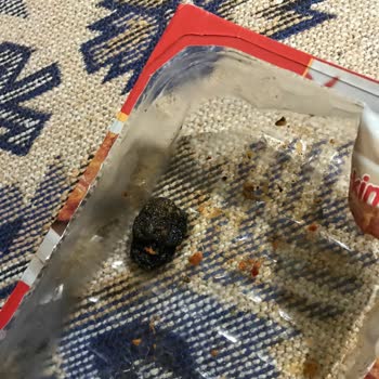 Keskinoğlu Tavuk Budunda Şaşırtıcı Bulgu