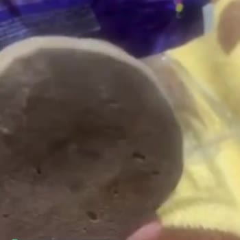 Ülker Halley Karadut Marmelatlı Bozuk Çıktı!