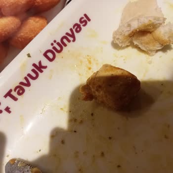 Tavuk Dünyası Tavukta Kıl Domateste Kurt Cıktı