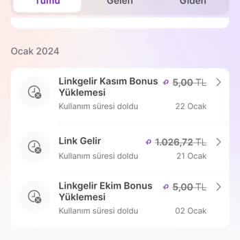 Hepsiburada Link Gelir Puanım Silindi.