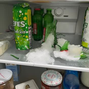 Bosch Buzdolabımda Donma Kabusu: 1,5 Yıllık Mücadele