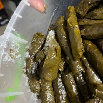 Bosch Buzdolabımda Donma Kabusu: 1,5 Yıllık Mücadele