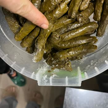 Bosch Buzdolabımda Donma Kabusu: 1,5 Yıllık Mücadele