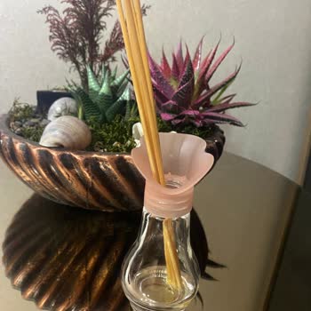 Ebebek Kokusu Boşa Giden Para