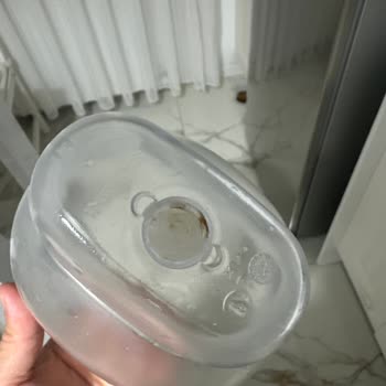 Brita Sürahi Yosun Tutuyor