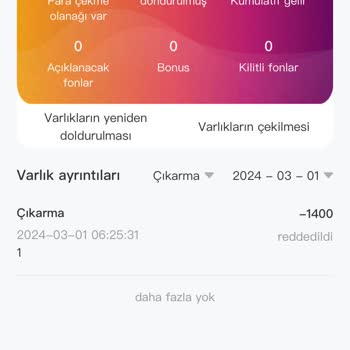 Paicoo Uygulamasında Yaşanan Para Çekme Sorunu