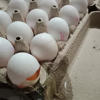 Migros Hemen Satış Sonrası Destek Sıfır