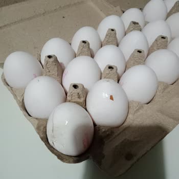 Migros Hemen Satış Sonrası Destek Sıfır
