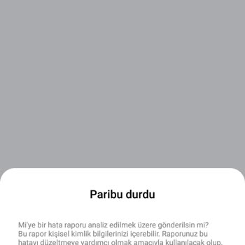 Paribu Uygulaması Açılmıyor Kendi Kendini Durduruyor