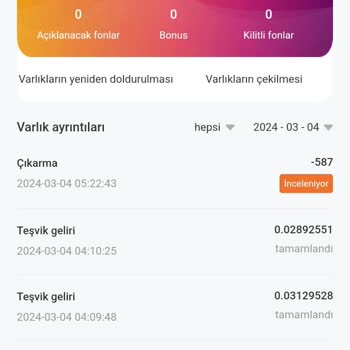 Paicoo Para Çekme İşlemlerinde Yaşanan Sorunlar Ve Kullanıcı Mağduriyetleri