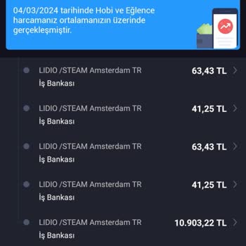 Steam'in Bankamdan Dolar Değil Tl Faturalandırma Yapması.