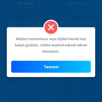 Halkbank Uygulama Giriş Sorunu