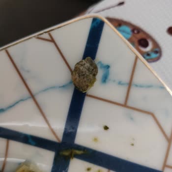 Lezzethane Ispanaklı Tava Böreği