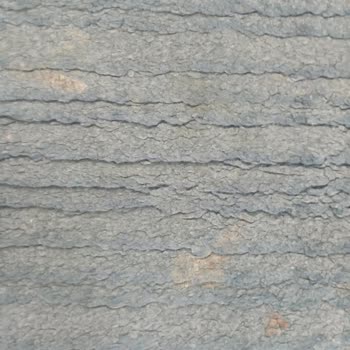 Hakan Halı Yıkama (Ankara) Ankara'da Halı Yıkama Hizmeti Ve Müşteri Memnuniyetsizliği