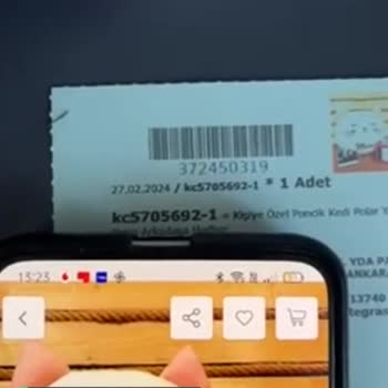 Çiçek Sepeti Polar Kedi Yastık Dikiş Hatalı