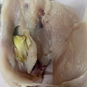 Sağlık Tehlikesi: A101'den Aldığım Bozuk Bupiliç Ürünü