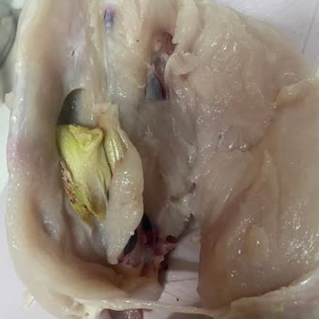 Sağlık Tehlikesi: A101'den Aldığım Bozuk Bupiliç Ürünü