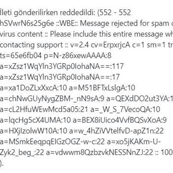 Godaddy Mail Problemi Çözülmüyor
