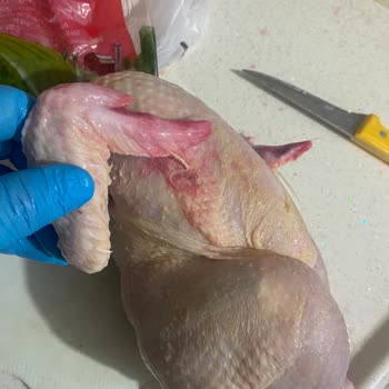 Şenpiliç Artık Özensiz Ürünler Yapmaya Başladı
