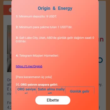 Origin Enerji Şirketi