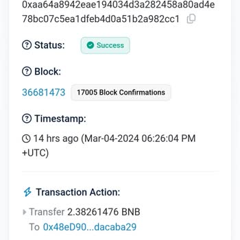 Binance Web 3 Pancakeswap Hatası