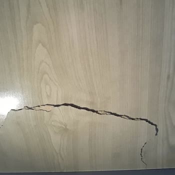 İstikbal Adasay Mahmutbey Şubesi Müşteriyi 35 Gündür Mağdur Etmektedir