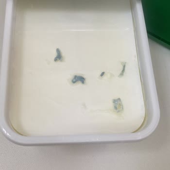 A101 Kapıda Uygulaması Süzme Peynir Şikayeti