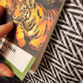 Amazon Özensiz Kargolama Ve Yardımcı Olmama