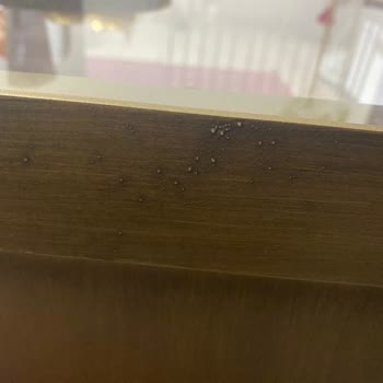 Vivense Pirinç Orta Sehpa Pişmanlığı