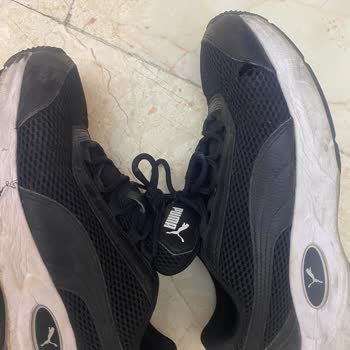 Puma İle Yaşadığım Kötü Ve Son Deneyim.