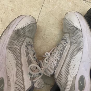 Puma İle Yaşadığım Kötü Ve Son Deneyim.