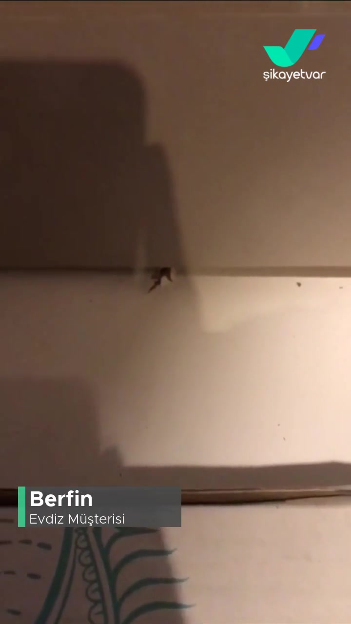 Evdiz Mobilyalar Çok Kötü! videonun kapak resmi