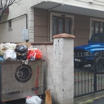 Kartal Belediyesi Binamızın Önündeki Çöpün Sürekli Dolması