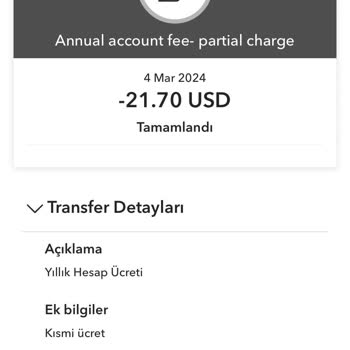 Payoneer Yıllık Ücret Var Mı?