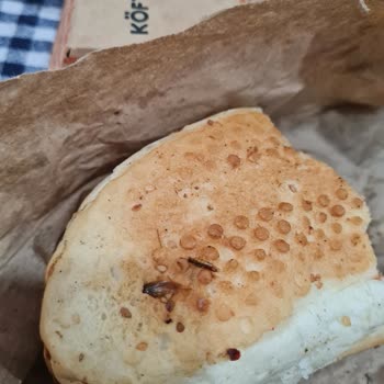 Köfteci Yusuf Yemekten Böcek Çıktı