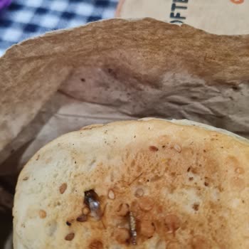 Köfteci Yusuf Yemekten Böcek Çıktı