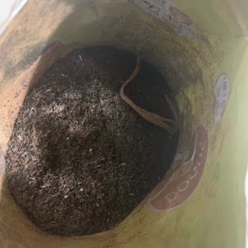 Doğuş Çay Paketinin İçinden Plastik Çıktı!