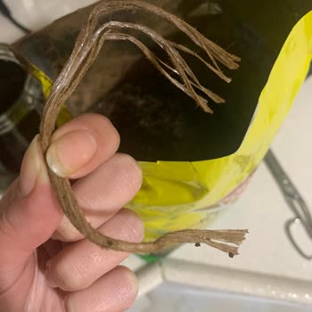 Doğuş Çay Paketinin İçinden Plastik Çıktı!