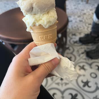 Denizli Denido Doğal Dondurmada Kedi Kılı!