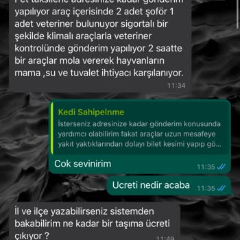 Dostumpaticik (Instagram) Hayali Pet Nakliyle Yaşanan Mağduriyet