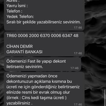 Dostumpaticik (Instagram) Hayali Pet Nakliyle Yaşanan Mağduriyet